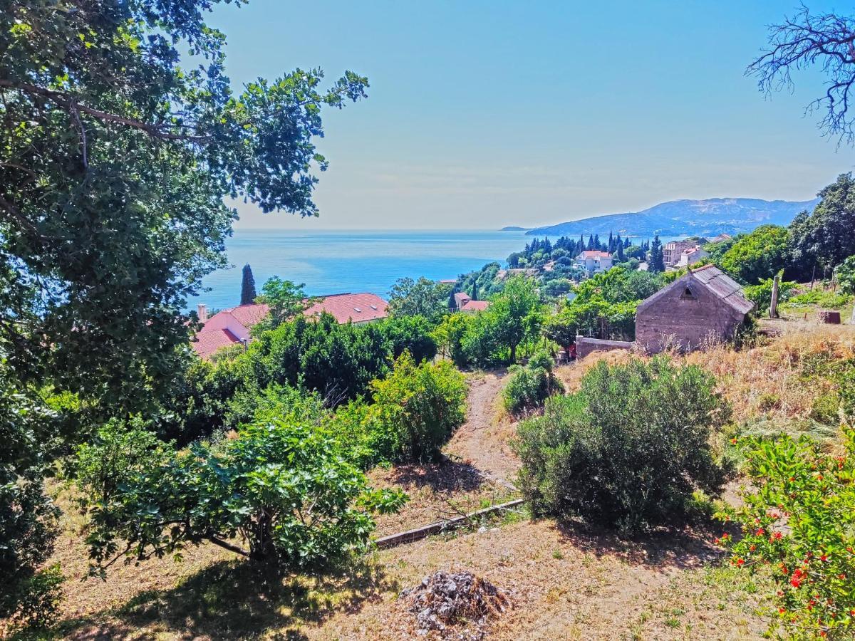 Dubrovnik Moonshine Apartment Mlini Ngoại thất bức ảnh