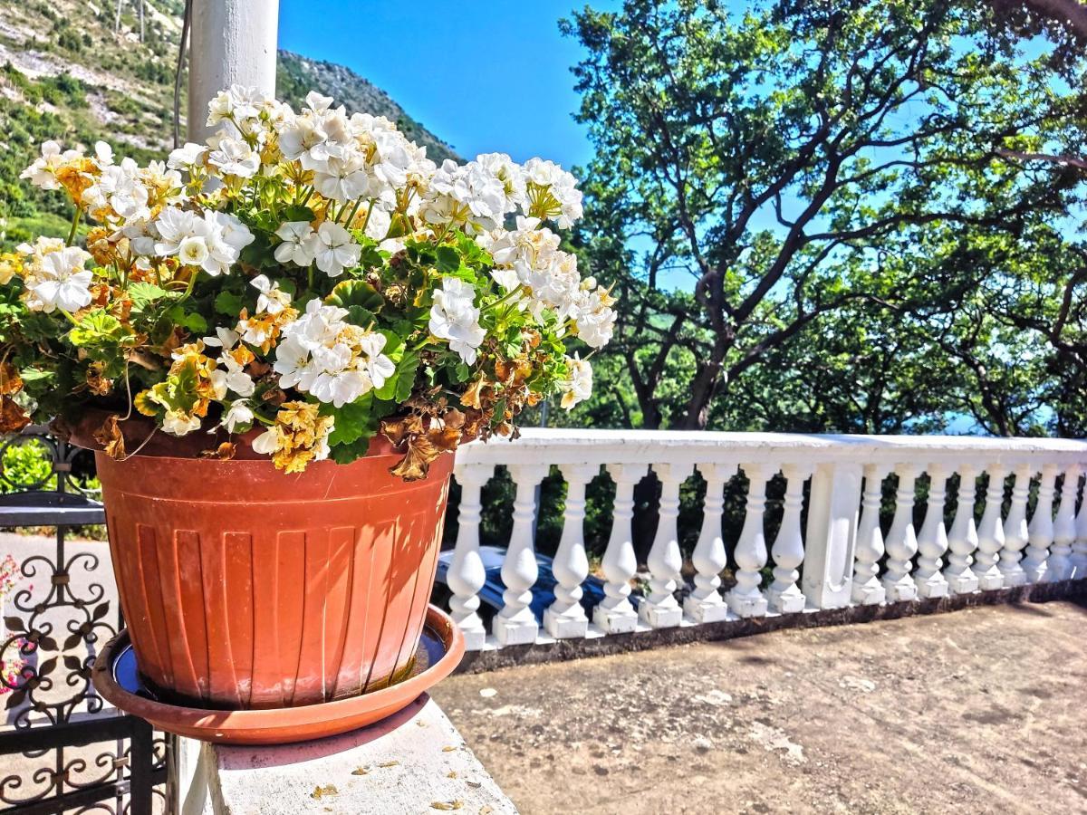 Dubrovnik Moonshine Apartment Mlini Ngoại thất bức ảnh