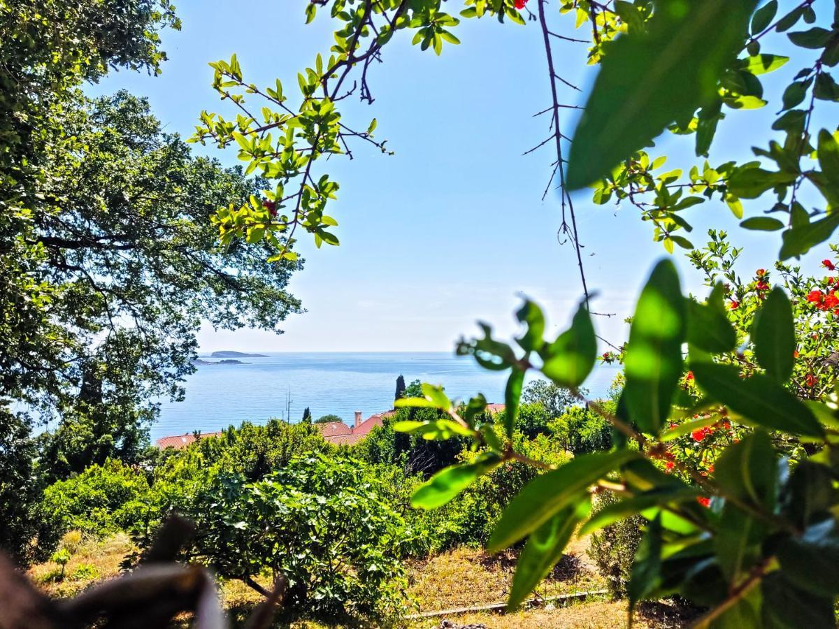Dubrovnik Moonshine Apartment Mlini Ngoại thất bức ảnh
