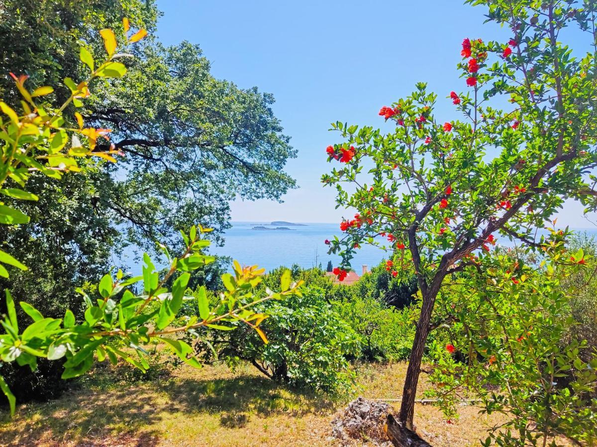 Dubrovnik Moonshine Apartment Mlini Ngoại thất bức ảnh